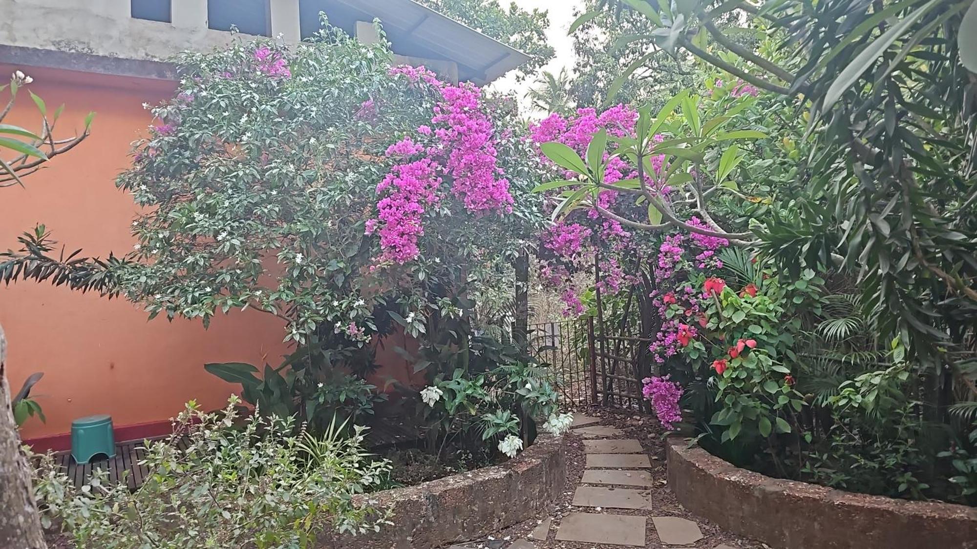 Laxmi Happy Home In Querim Goa Εξωτερικό φωτογραφία