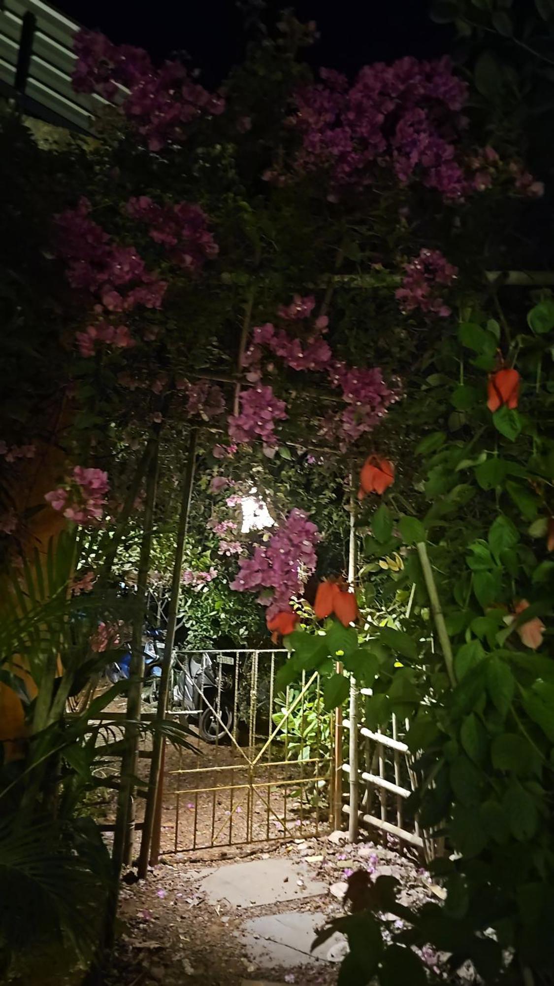 Laxmi Happy Home In Querim Goa Εξωτερικό φωτογραφία